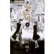 姉の結婚 8（フラワーコミックス） [電子書籍]