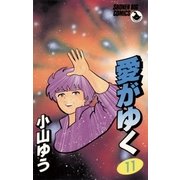 愛がゆく 11（小学館） [電子書籍]