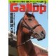 週刊Gallop（ギャロップ） 3月8日号（サンケイスポーツ） [電子書籍]