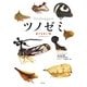 ツノゼミ―ありえない虫 （幻冬舎） [電子書籍]