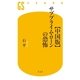 "中国版"サブプライム・ローンの恐怖（幻冬舎新書） [電子書籍]