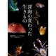 深海のとっても変わった生きもの （幻冬舎） [電子書籍]