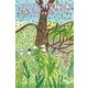 へなちょこ探検隊―屋久島へ行ってきました（幻冬舎文庫） [電子書籍]