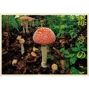毒きのこ―世にもかわいい危険な生きもの （幻冬舎） [電子書籍]