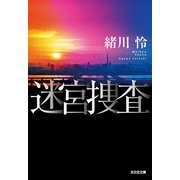 迷宮捜査（光文社） [電子書籍]
