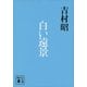 白い遠景（講談社） [電子書籍]