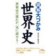 図解 大づかみ世界史（KADOKAWA） [電子書籍]