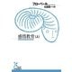 感情教育（上）（光文社） [電子書籍]