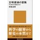 文明探偵の冒険 今は時代の節目なのか（講談社） [電子書籍]