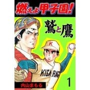 燃えよ甲子園！鷲と鷹1（グループ・ゼロ） [電子書籍]