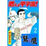 燃えよ甲子園！鷲と鷹2（グループ・ゼロ） [電子書籍]