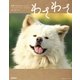 わさわさ（学研） [電子書籍]