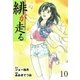 緋が走る 10（グループ・ゼロ） [電子書籍]