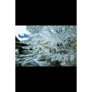 京都異景 vol.2（月刊デジタルファクトリー） [電子書籍]