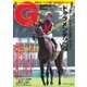 週刊Gallop（ギャロップ） 6月7日号（サンケイスポーツ） [電子書籍]