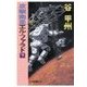 攻撃衛星エル・ファラド 下（中央公論新社） [電子書籍]