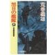 旭日の艦隊9 - 総統要塞襲撃（中央公論新社） [電子書籍]