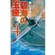 碧海の玉座4 - ソロモンの覇者（中央公論新社） [電子書籍]