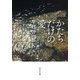 かたちだけの愛（中央公論新社） [電子書籍]