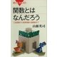 関数とはなんだろう 三角関数から複素関数・超関数まで（講談社） [電子書籍]