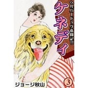 ケネディ (3)（eBookJapan Plus） [電子書籍]