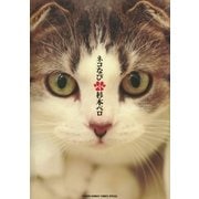 ネコなび 1（小学館） [電子書籍]