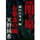 決戦！関ヶ原 織田有楽斎編 有楽斎の城（講談社） [電子書籍]