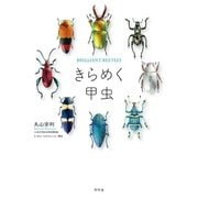 きらめく甲虫（幻冬舎） [電子書籍]