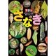 見ながら学習調べてなっとく ずかん さなぎ （技術評論社） [電子書籍]
