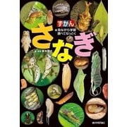 見ながら学習調べてなっとく ずかん さなぎ （技術評論社） [電子書籍]