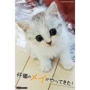 仔猫のメイがやってきた！（PAD） [電子書籍]