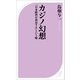 カジノ幻想 ～「日本経済が成長する」という嘘～（ベストセラーズ） [電子書籍]
