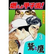燃えよ甲子園！鷲と鷹3（グループ・ゼロ） [電子書籍]
