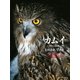 太田達也写真集 カムイ 神々の鼓動（山と溪谷社） [電子書籍]
