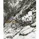 伊藤正一写真集 源流の記憶 「黒部の山賊」と開拓時代 （山と溪谷社） [電子書籍]