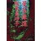 曼荼羅道（集英社） [電子書籍]