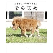 とびきり小さなお馬さん そらまめ（文藝春秋） [電子書籍]