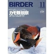 BIRDER（バーダー） 2015年11月号（文一総合出版） [電子書籍]