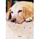 犬たちがくれた「ありがとう」 盲導犬ベルナの仲間たち（KADOKAWA） [電子書籍]