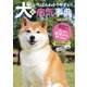 いちばんわかりやすい！犬の病気事典（笠倉出版社） [電子書籍]