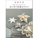 星と雪の装飾おりがみ（誠文堂新光社） [電子書籍]