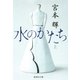 水のかたち 上（集英社） [電子書籍]