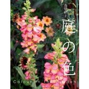 庭の色（主婦の友社） [電子書籍]