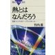 熱とはなんだろう ： 温度・エントロピー・ブラックホール……（講談社） [電子書籍]