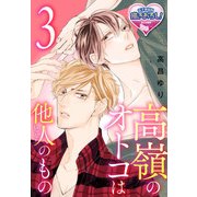 高嶺のオトコは他人(ヒト)のもの3（KADOKAWA） [電子書籍]