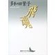 飛魂（講談社） [電子書籍]