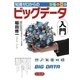 知識ゼロからのビッグデータ入門（幻冬舎） [電子書籍]