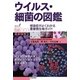 ウイルス・細菌の図鑑―感染症がよくわかる重要微生物ガイド(知りたい！サイエンス) （技術評論社） [電子書籍]