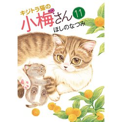 ヨドバシ Com キジトラ猫の小梅さん 11 少年画報社 電子書籍 通販 全品無料配達