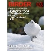 BIRDER(バーダー) 2016年3月号（文一総合出版） [電子書籍]